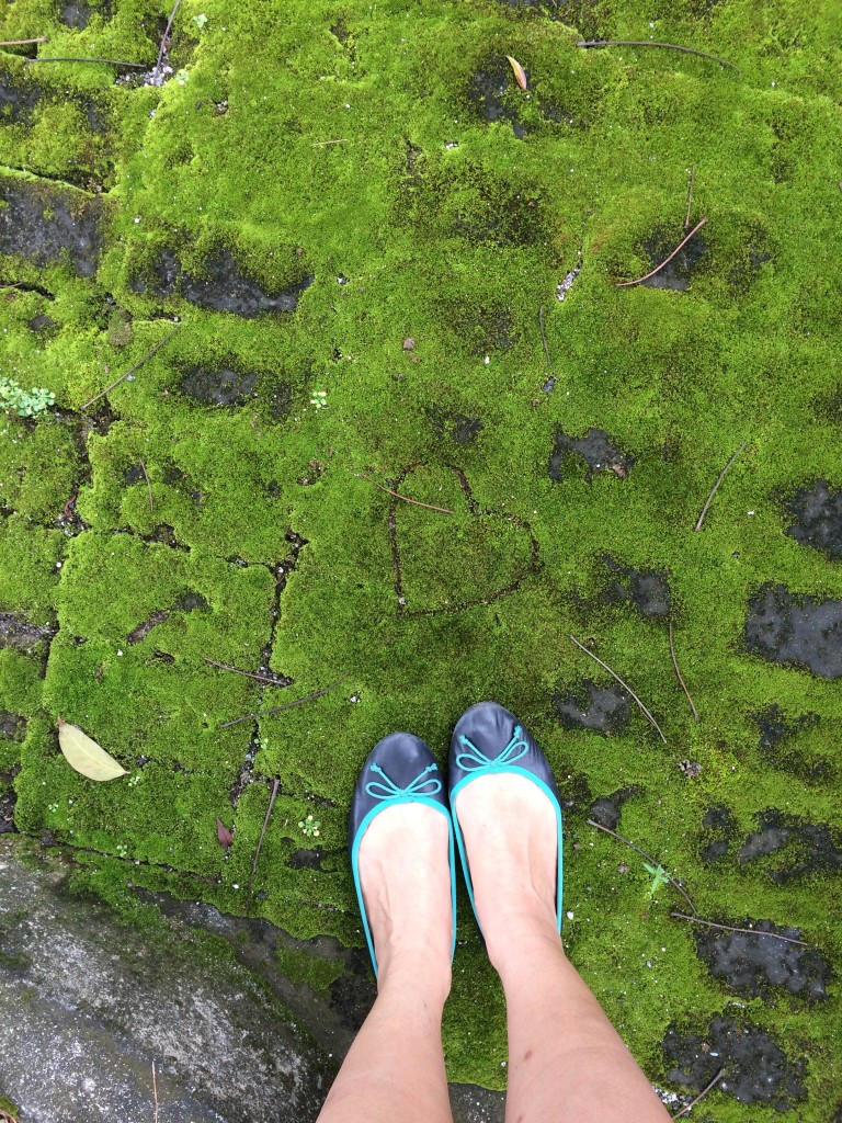 Walking meditation: the bouncy feel under your feet, the clean smell of fresh-cut grass, an unexpected heart etched in moss